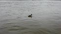 My high water friend2